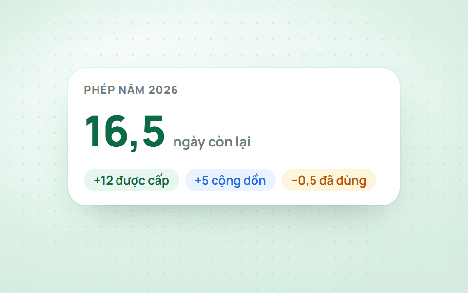 Được cấp, cộng dồn, đã dùng, còn lại.